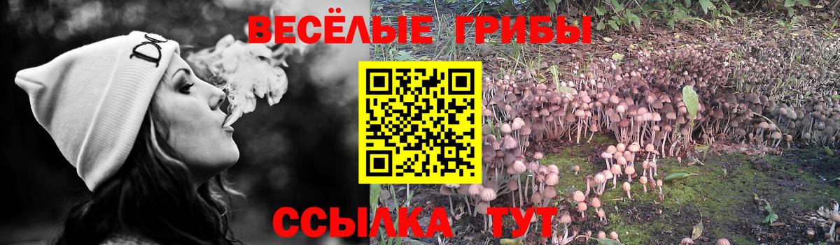 Галлюциногенные грибы мицелий  Вход с VPN  Острогожск  Псилоцибиновые грибы Psilocybine cubensis 