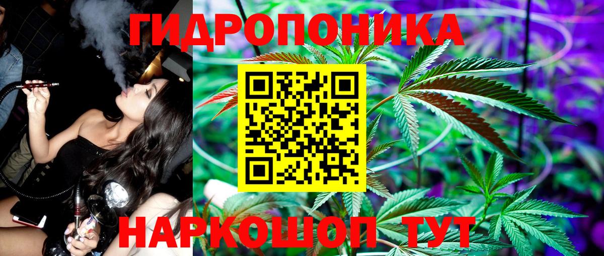 Бошки Шишки MAZAR Острогожск